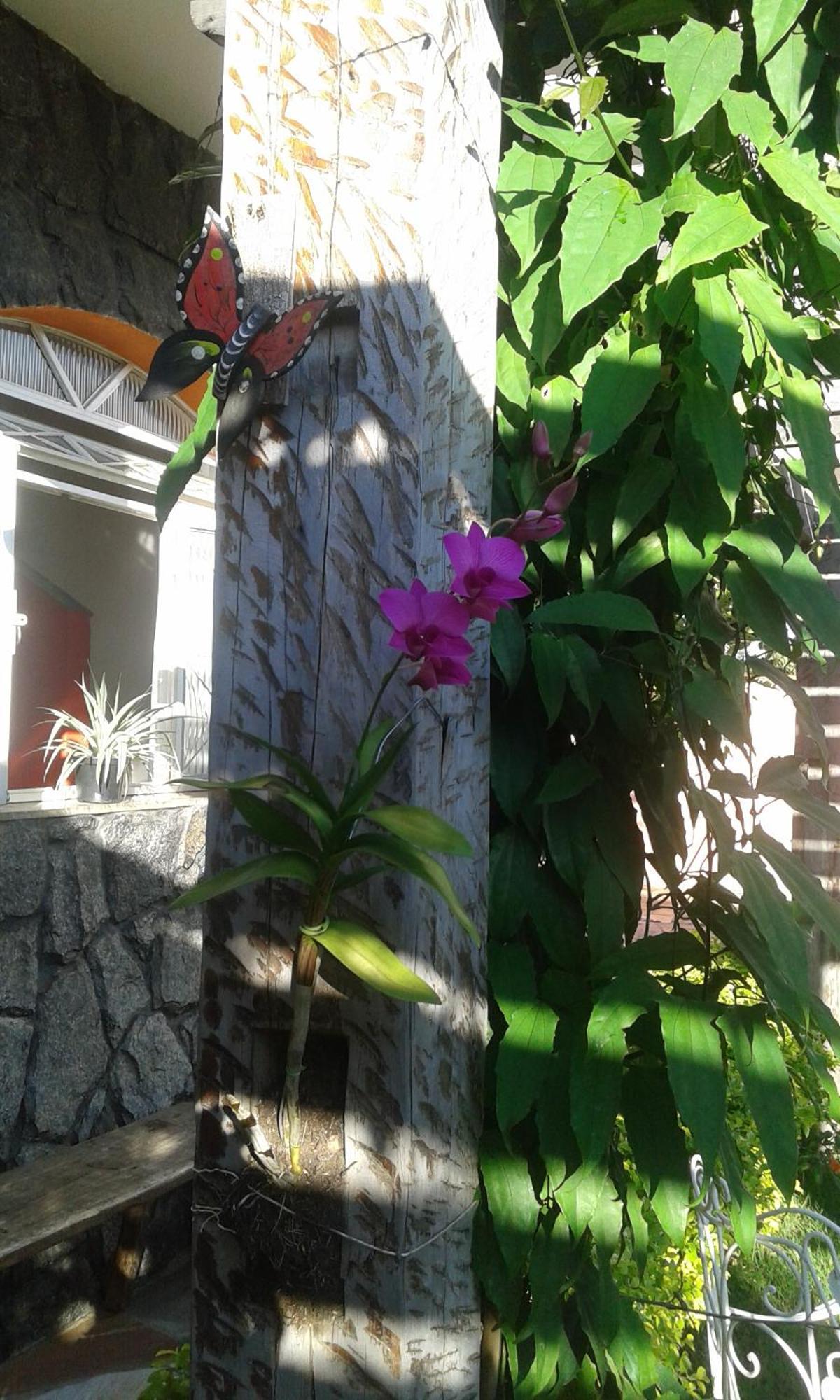 Pouso Mariazinha Hotel Tiradentes Exterior photo